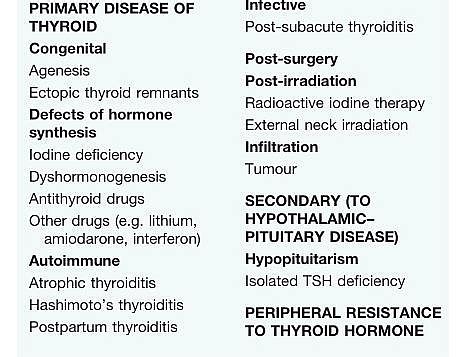 Underactive Thyroid: Hypothyroidism Symptoms and Signs ...
