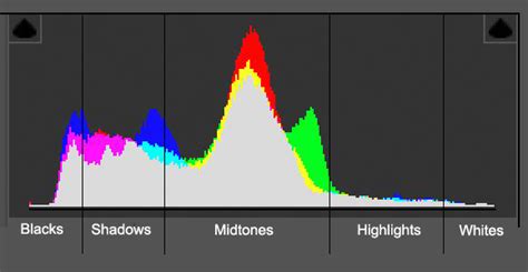 Understanding Histograms in Photography | Guide