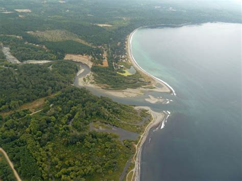 Underwater Ecosystem Inundated by Sediment Plume, Elwha ...