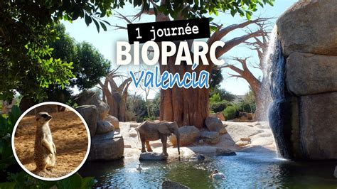 Une journée au BioParc de Valencia, un Zoo pas comme les ...