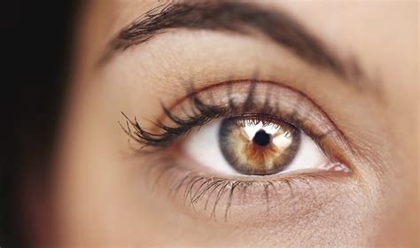 Unexpected finding may deter disabling diabetic eye ...