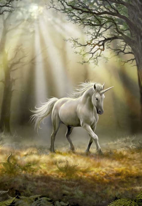 Unicornio: leyenda, significado y mucho más del místico ...