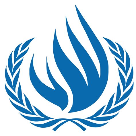 United Nations special rapporteur   Wikipedia