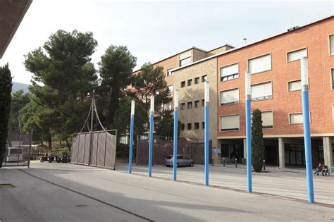 Universitat de Barcelona Cerebro, cognición y conducta ...