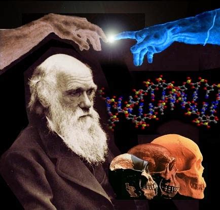 UNIVERSO PARA TODOS: La Anti Teoría; El Creacionismo Darwiniano.