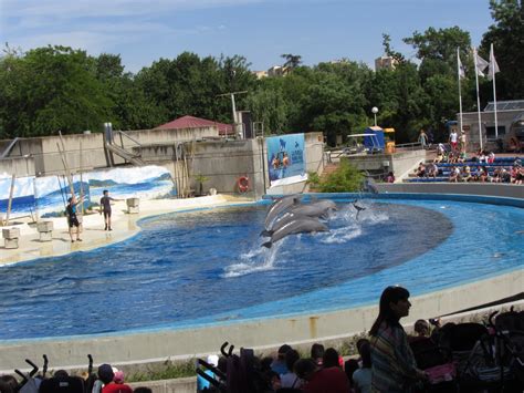 Universo Viajero: Zoo Aquarium de Madrid