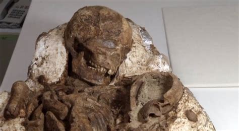 Unos arqueólogos encuentran un fósil humano de 4.800 años de una madre ...