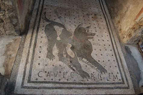 Updates from Ancient Rome: A Graveyard in Pompeii...