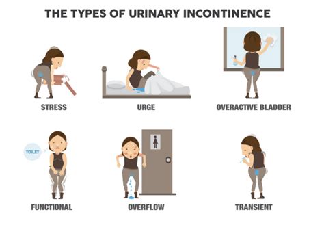 Urinary Incontinence  Symptoms and treatment | My Gynae