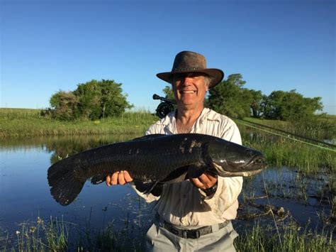 URUWILD: Pesca con mosca en Uruguay   Artículos | Fly dreamers