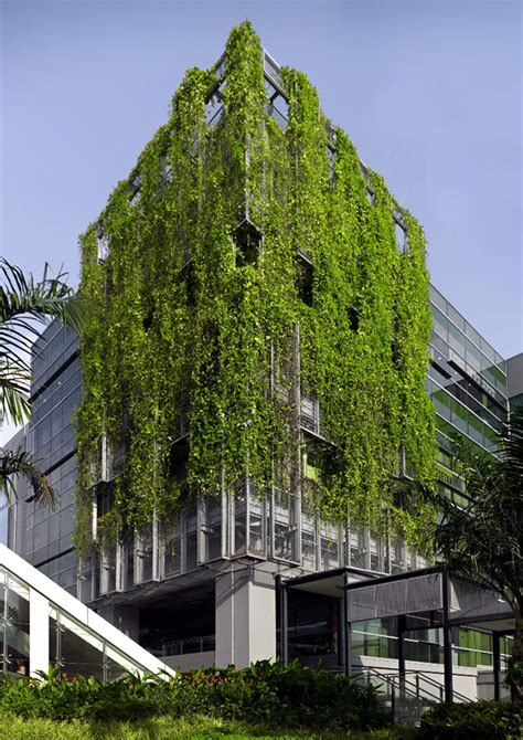Uso das Fachadas Verdes na Arquitetura