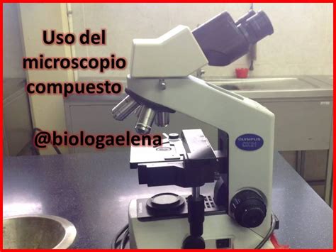 Uso del Microscopio Compuesto   Microscopio de luz ...