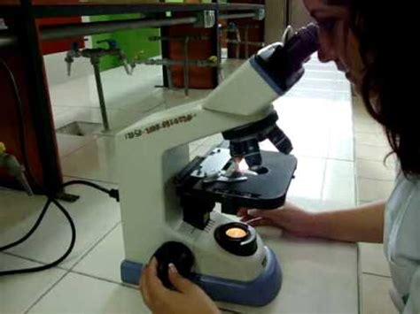 Uso del microscopio óptico compuesto   YouTube