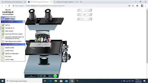 Uso microscopio virtual   YouTube