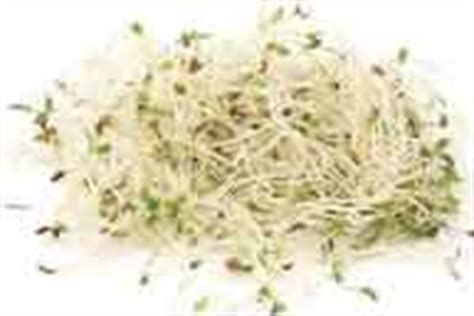 Usos medicinales y aplicaciones curativas de la alfalfa ...
