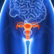 Uterine Cancer | Endometrial Cancer | Hysterectomy ...
