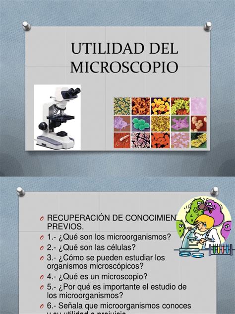 Utilidad Del Microscopio | Microorganismo | Microscopio