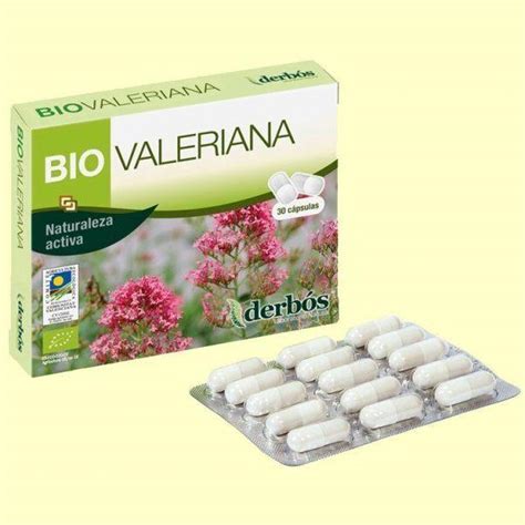 Valeriana: Propiedades y Beneficios para la Salud ...