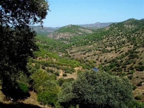 valle bosque mediterraneo | Bosque mediterraneo, Bosque ...