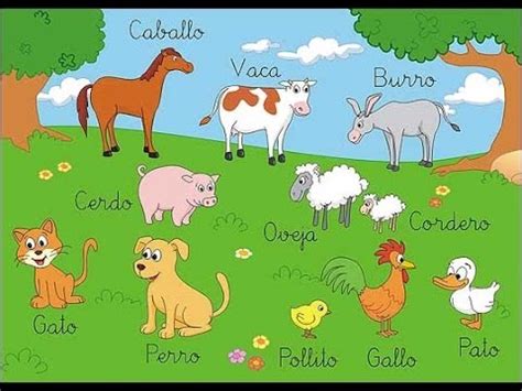 Vamos a aprender el nombre de los animales de una forma ...