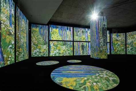 Van Gogh cobra vida en Pamplona en la exposición ...