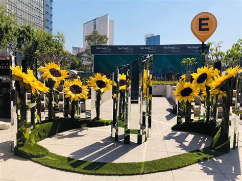 Van Gogh llega a la CDMX: Exposición, girasoles en Reforma ...
