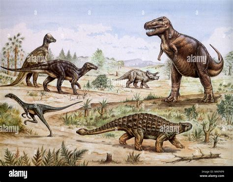 Varios dinosaurios a finales del período Cretácico Fotografía de stock ...