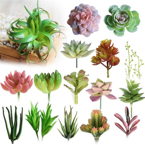 Various Artificial Succulent Plants Lotus Landscape ...