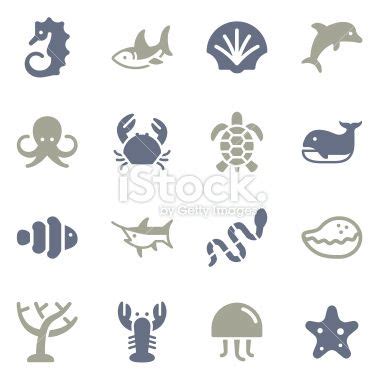 Vector file of Marine Life Icons | Icon set, Marine life, Art