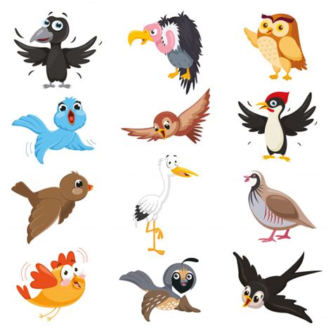 Vector illustration of cartoon birds Vector | Premium Download