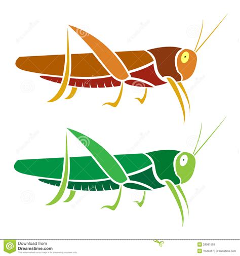 Vector Image Of An Grasshopper Stock Vector   Image: 29081558