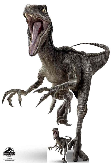 Velociraptor Blue Dinosaur Official Jurassic World Lifesize Cardboard ...