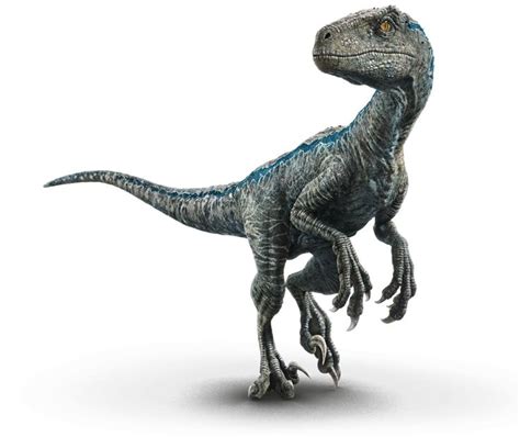 Velociraptor, Blue. | Dinosaurios jurassic world, Jurassic world ...