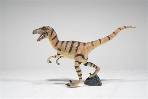 Velociraptor Dinosaur Statue   Large   Prop Hire | Event ...