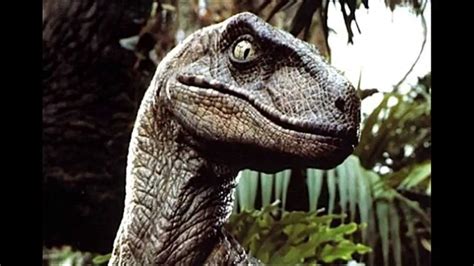 Velociraptor   Dinosaurian Misconception Ep. 1   YouTube