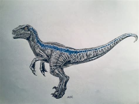 velociraptor drawing jurassic world