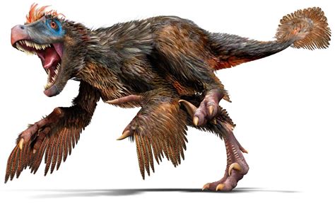 Velociraptor | Mesozoic Wiki | FANDOM powered by Wikia