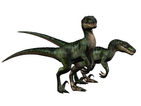 Velociraptor   Origens / Orígenes