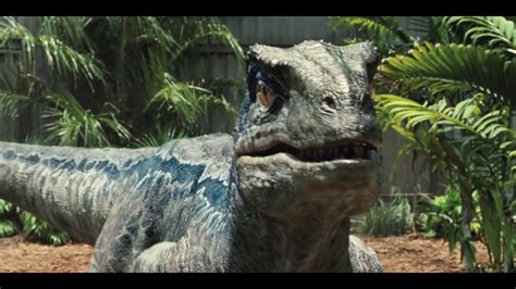 Velociraptor sound effects   YouTube