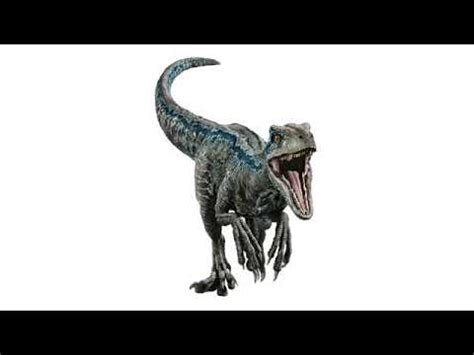 Velociraptor sounds   YouTube