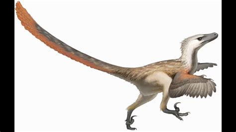 velociraptor sounds   YouTube