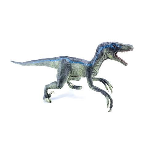 Velociraptor | VELOCIRAPTOR 182 | Dinomania