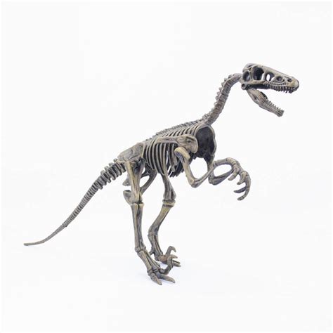 Velociraptor | VELOCIRAPTOR 960 | Dinomania