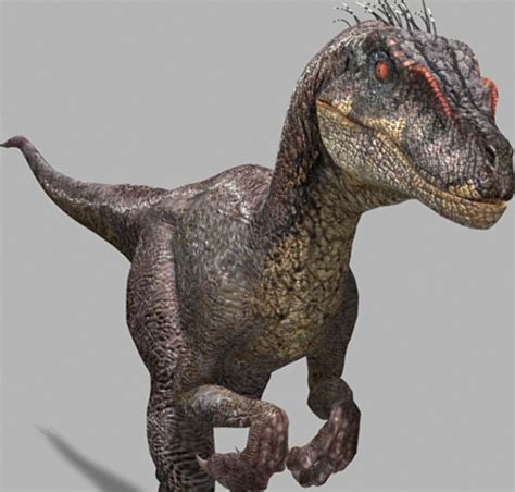 Velociraptor   Wiki Jurassic Park