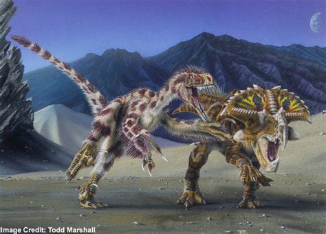 Velociraptor | Wiki Prehistoripedia | FANDOM powered by Wikia