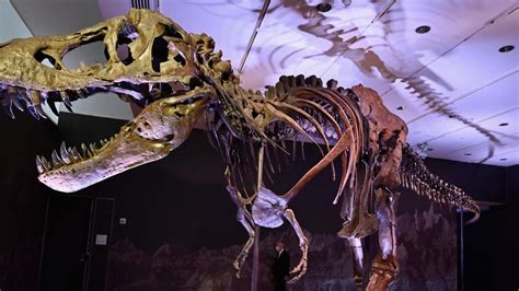 Venden por 27 millones de euros el esqueleto de un dinosaurio
