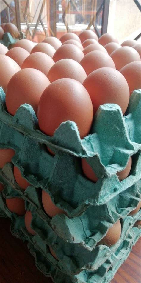 Venta de huevos por mayor y menor | Anuncio Clasificado ¡Gratis ...