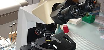 Venta de microscopios en Madrid | Optimec