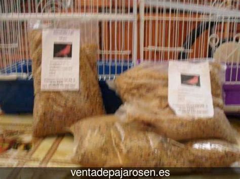 Venta de pajaros en Cenicientos , Madrid Venta De Pajaros