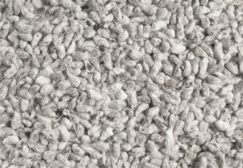 Venta de Semilla de algodón para ganado lechero | Productos NAFOSA